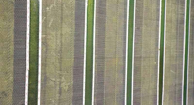 防堵篩網9.jpg